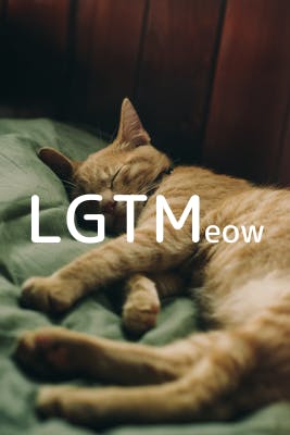 lgtm-cat-image