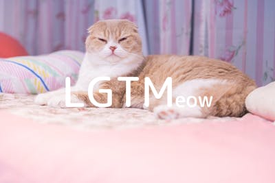 lgtm-cat-image