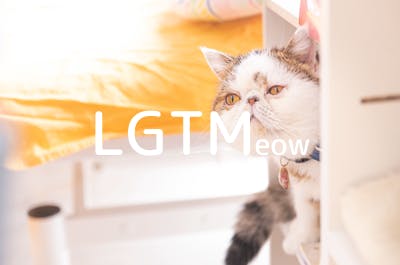 lgtm-cat-image