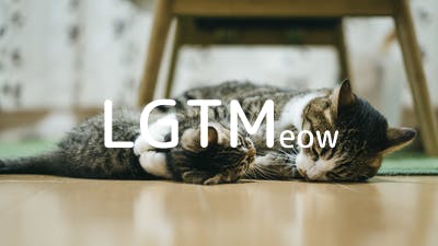 lgtm-cat-image