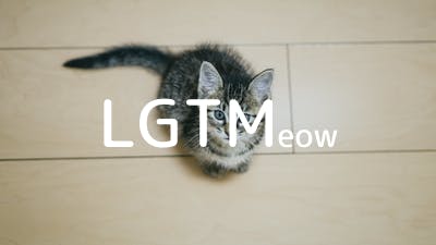 lgtm-cat-image